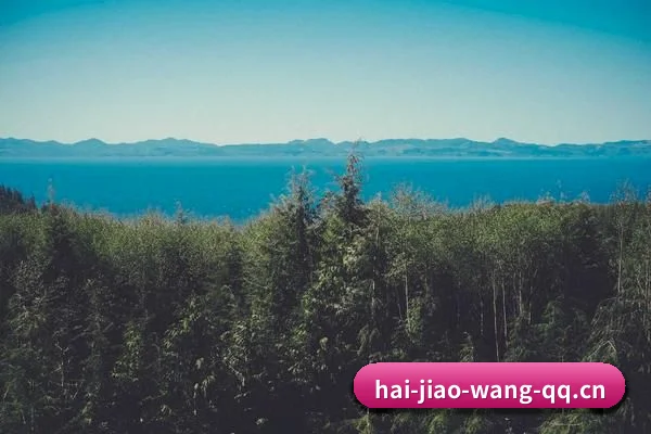 海角网 APP 界面