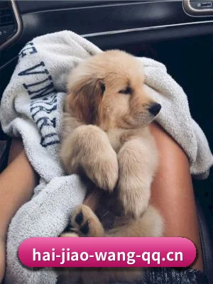 海角网 APP